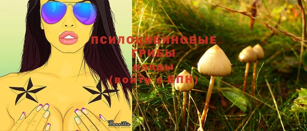 прущие грибы Алексеевка