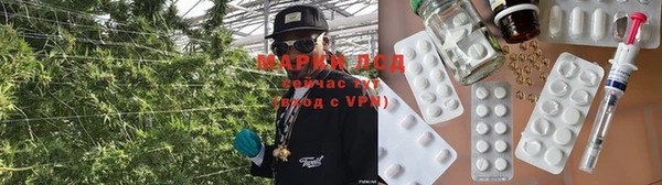 прущие грибы Алексеевка