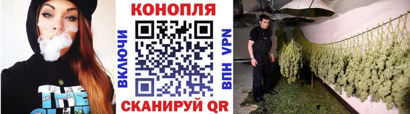 сайты даркнета телеграм  Карпинск  Бошки марихуана сатива  дарнет шоп 
